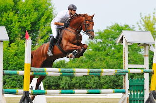 Horse eventing