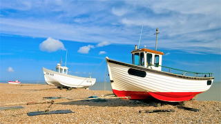 boats