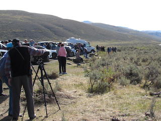 Yellowstone Wolf Watchers in Lamar Valley