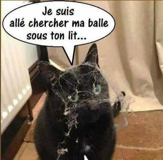 Blague14