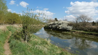 Footpath of the day 4