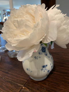 White peony