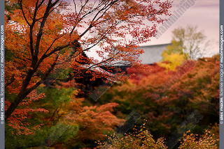 56CF7003-1B5F-41B6-B463-5BB1B7B83800