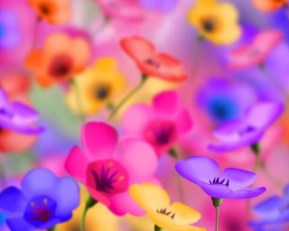 flowers