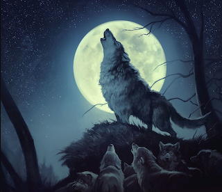 Aullido Nocturno. Lobo