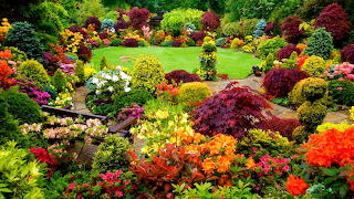 Colorful Garden