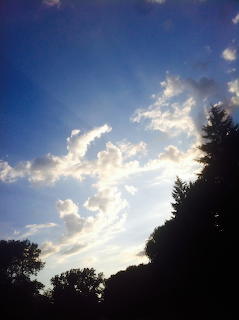 01fddbe7b171bd3d036d7a8b084b2c8934cb590d27