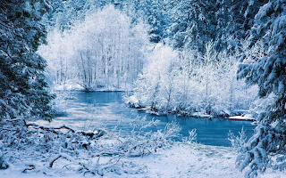 Winter scape 29