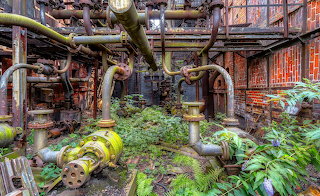 wisteria growing in abandoned boiler house