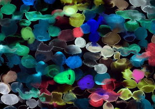 Colorful paint blobs