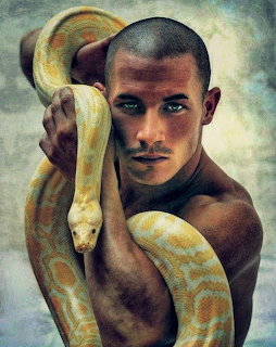 Albino Python oil painting
