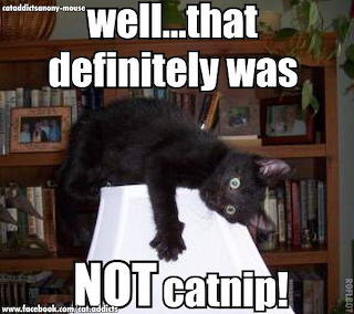 that wasn't catnip