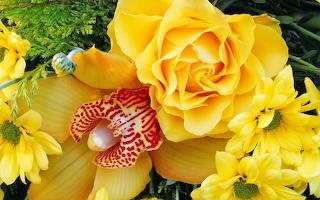 Yellow