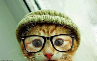 Chat