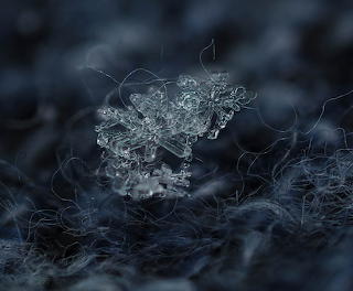 Dec2022Snowflake-00184