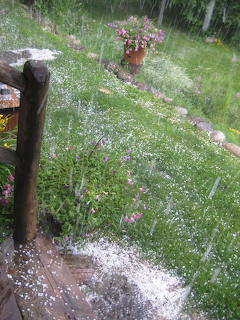 Rain in the garden