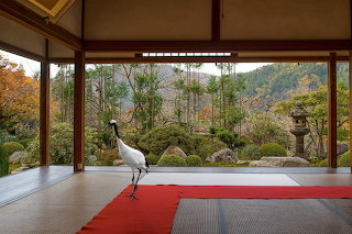 Journey to Great Sage Jikko Temple Ohara by Karen Knorr