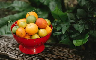 Fruit