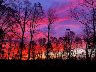 Morning Color