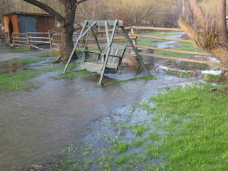 High water in the yard garden