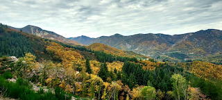 Plateau ardechois