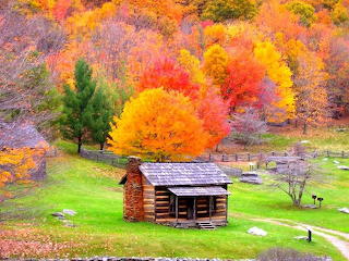 Fall