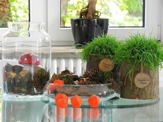 Various small 246 autumn still life