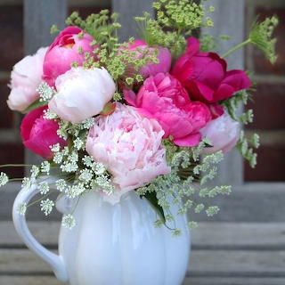 cathysflowers