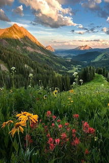 Crested Butte Colorado