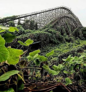 Reclaimed by Nature