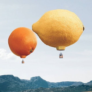 citrus hot airbaloon