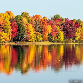 Michigan's upper peninsula