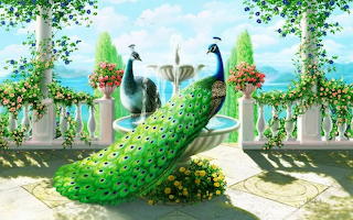Oiseaux