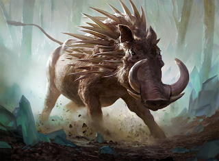 Boar