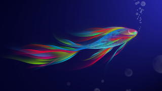 Colorful fishcreative design