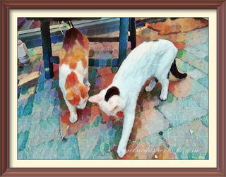 Caturday Art