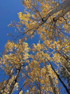 Grand Mesa CO 9