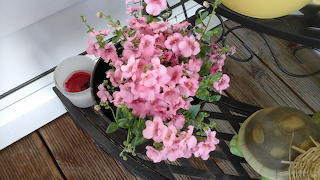 Blumen