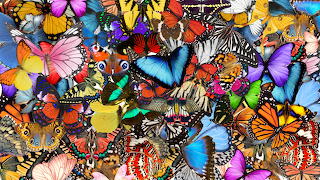 Collages