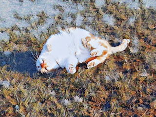 Caturday Art 9.11.19 Eric