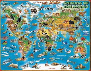 Animals-of-the-world
