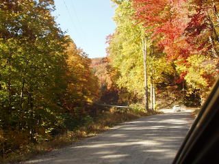 Fall 08 033