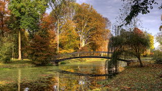Hollandia-hid-