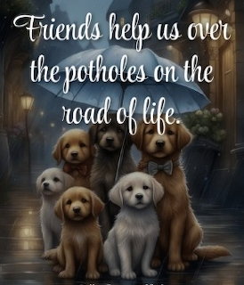 Dogs - Potholes of Life