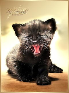 I want my Mooooom!