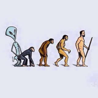 GMOs?