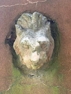 Old lion head