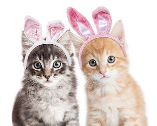 Two Kittens with Bunny Ears