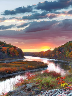 Autumn Colours