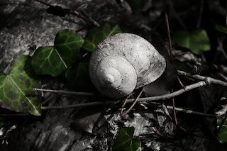 IMG_7025_DxO